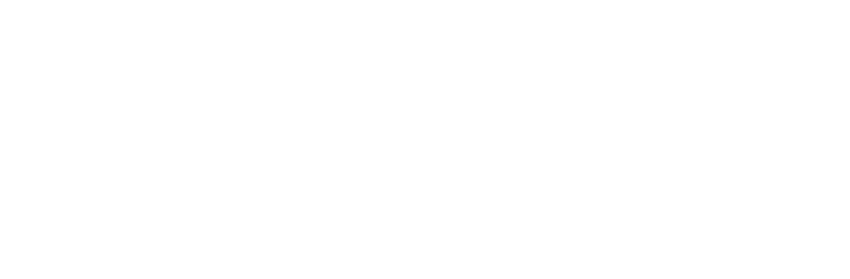 THE TIKET Logo